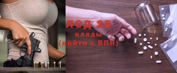 стаф Алзамай