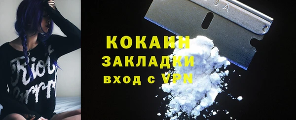 стаф Алзамай