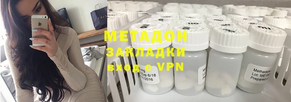стаф Алзамай