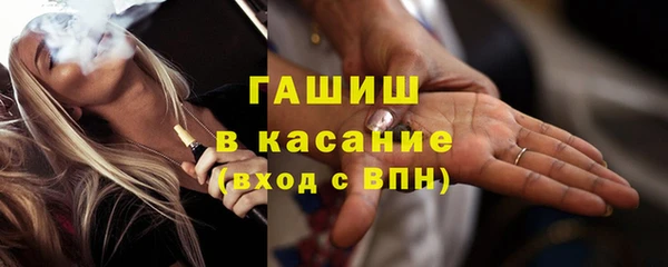 стаф Алзамай