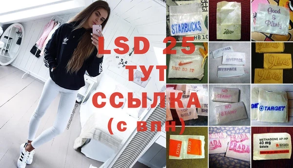 стаф Алзамай