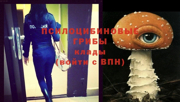 прущие крисы Алексеевка